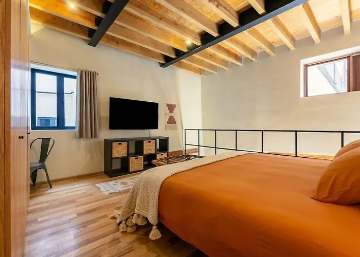 Magnificient Downtown Apartment