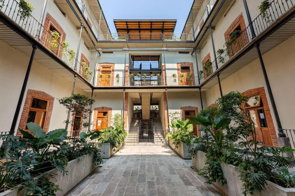 Apartment Magnificient Downtown Mexico City