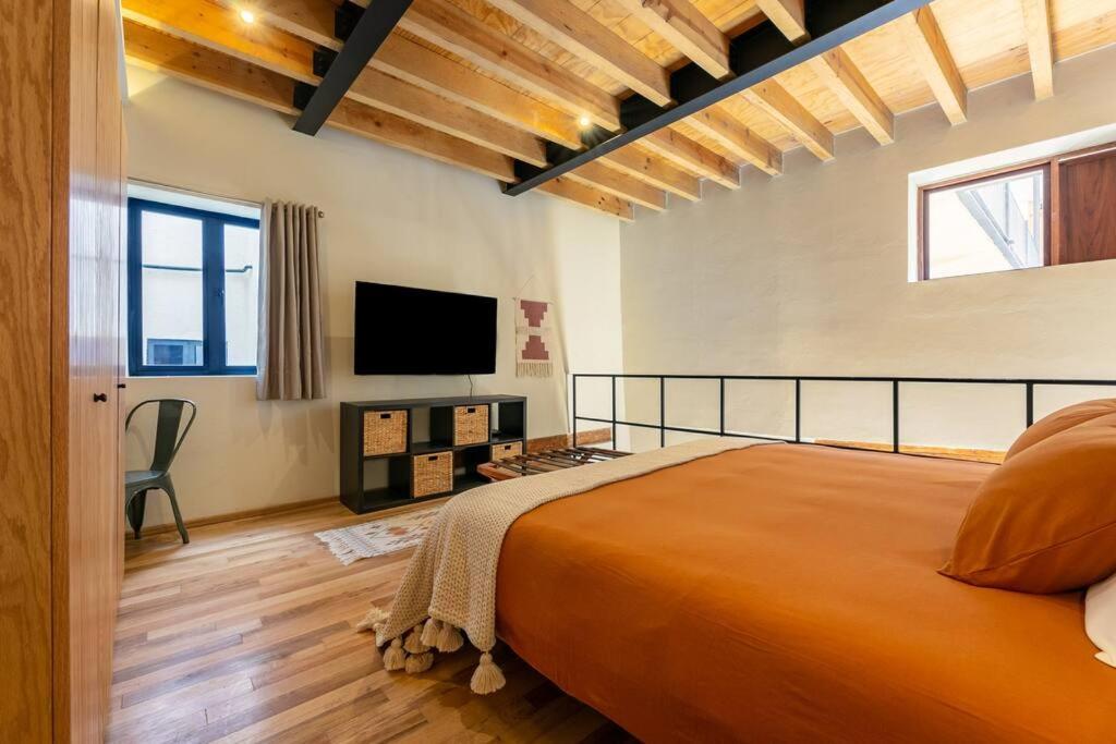 Magnificient Downtown Apartment Mexico City